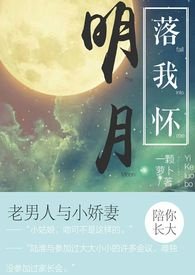 明月落我怀原创小说